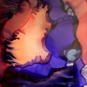 Meet your Posher, Robyn